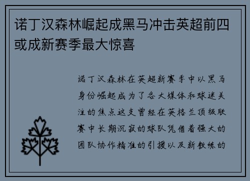 诺丁汉森林崛起成黑马冲击英超前四或成新赛季最大惊喜