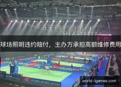 球场照明违约赔付，主办方承担高额维修费用